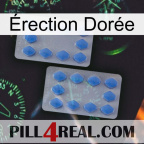 Érection Dorée 20